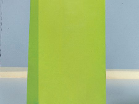 Lime Green Paper Party Bags, 12ct Online now