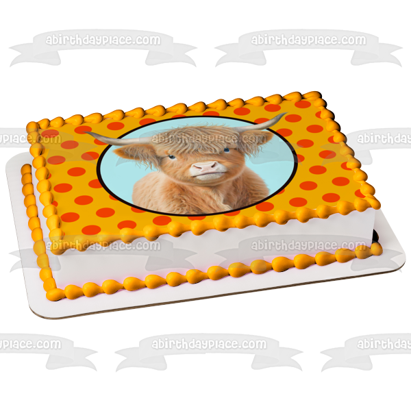 Baby Highland Cow Edible Cake Topper Image ABPID57437 Discount