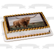 Highland Cow Windblown Edible Cake Topper Image ABPID57438 Hot on Sale