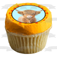 Baby Highland Cow Edible Cake Topper Image ABPID57437 Discount