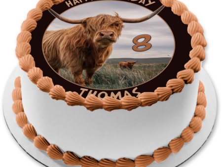 Highland Cow Windblown Edible Cake Topper Image ABPID57438 Hot on Sale