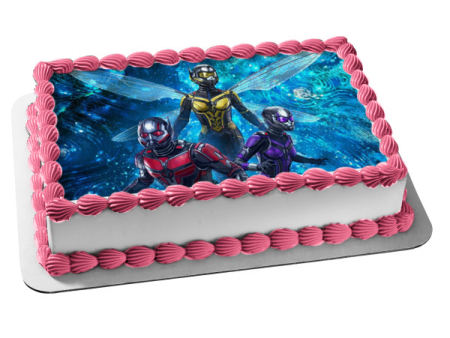 Ant-Man and the Wasp: Quantumania Edible Cake Topper Image ABPID57431 Fashion